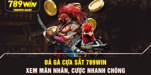 Đá Gà Cựa Sắt 789WIN - Xem Mãn Nhãn, Cược Nhanh Chóng