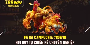 Đá Gà Campuchia 789WIN - Nơi Quy Tụ Chiến Kê Chuyên Nghiệp